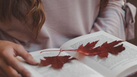 Young Professionals Millennials Autumncourse Persoonlijke Ontwikkeling